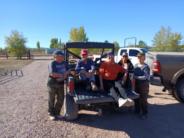 5749413668625546985 768x576